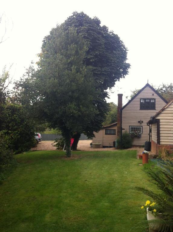 Bonningtons Stansted Self Catering Hotell Stansted Mountfitchet Rum bild